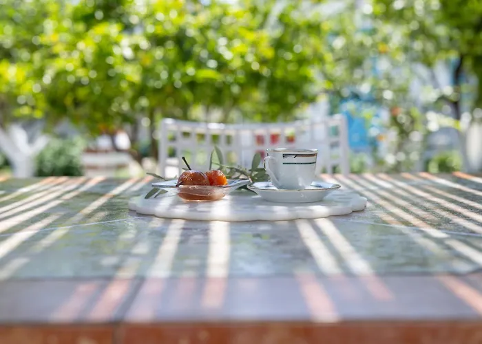 Perivoli 1-chora 別荘 Agkidia