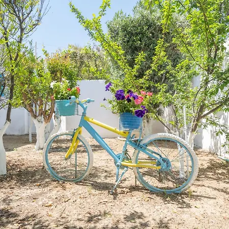 Дом отдыха Perivoli 1-chora *