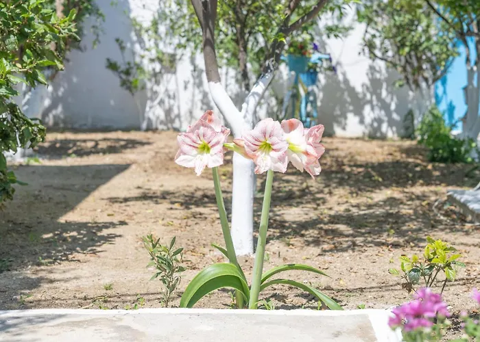 Perivoli 1-chora Semesterbostad Agkidia